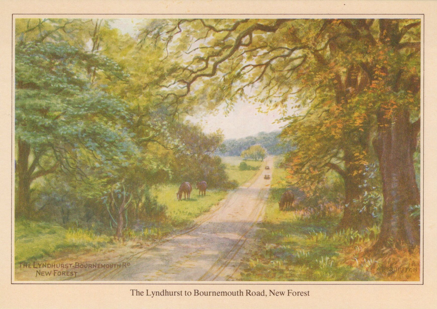 Hampshire Postcard - The Lyndhurst To Bournemouth Road SW19000