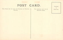 Load image into Gallery viewer, Vintage postcard with printed text and a vertical line on a beige background