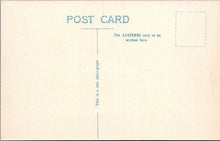 Load image into Gallery viewer, Devon Postcard - Barnstaple, Rock Park and War Memorial SX157