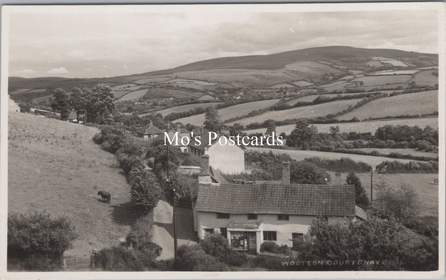 Somerset Postcard - Wootton Courtenay Village SX212