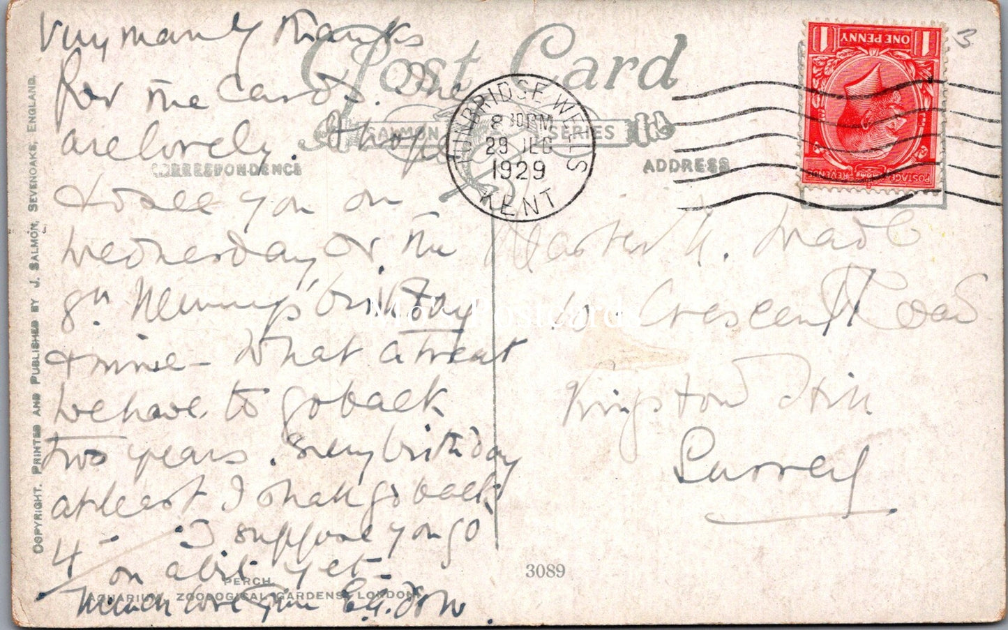 Animals Postcard - Fish Swimming, Artist C.T.Howard SX147