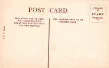 Load image into Gallery viewer, Buckinghamshire Postcard - Burnham Beeches SW18162