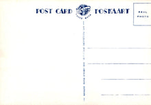 Load image into Gallery viewer, Animals Postcard - Monkeys in Durban, South Africa SW18100