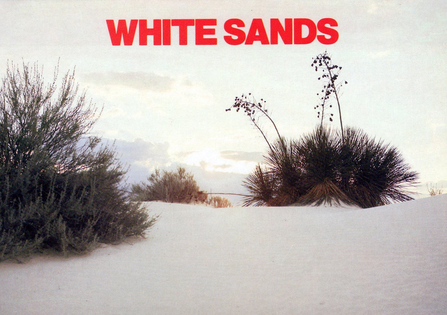 America Postcard - White Sands National Monument, New Mexico SW18130