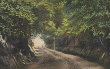 Load image into Gallery viewer, Sussex Postcard - Chantry Lane, Bexhill-On-Sea SW19285