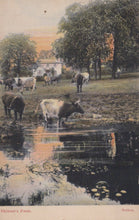 Load image into Gallery viewer, London Postcard - Skinner's Farm, Sutton SW19339