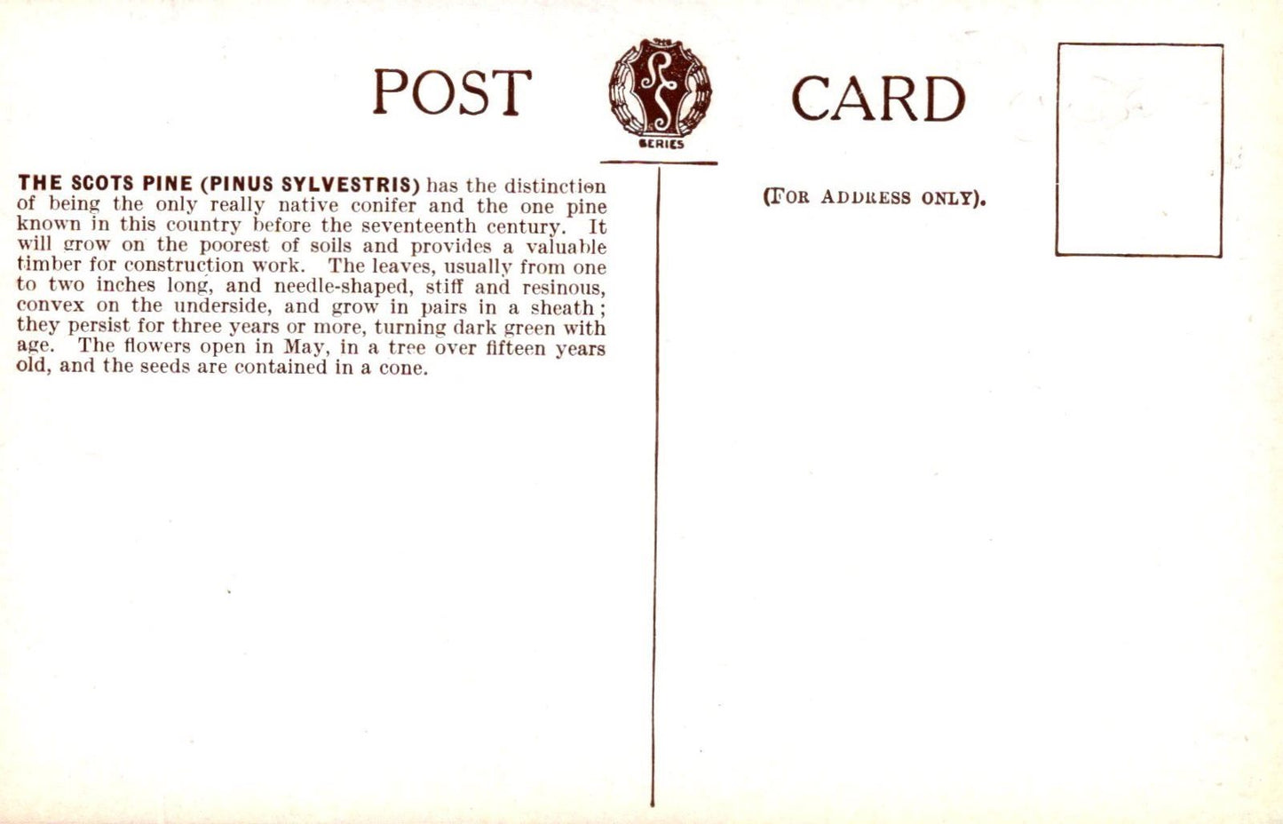 Vintage postcard with text and a logo on a white background