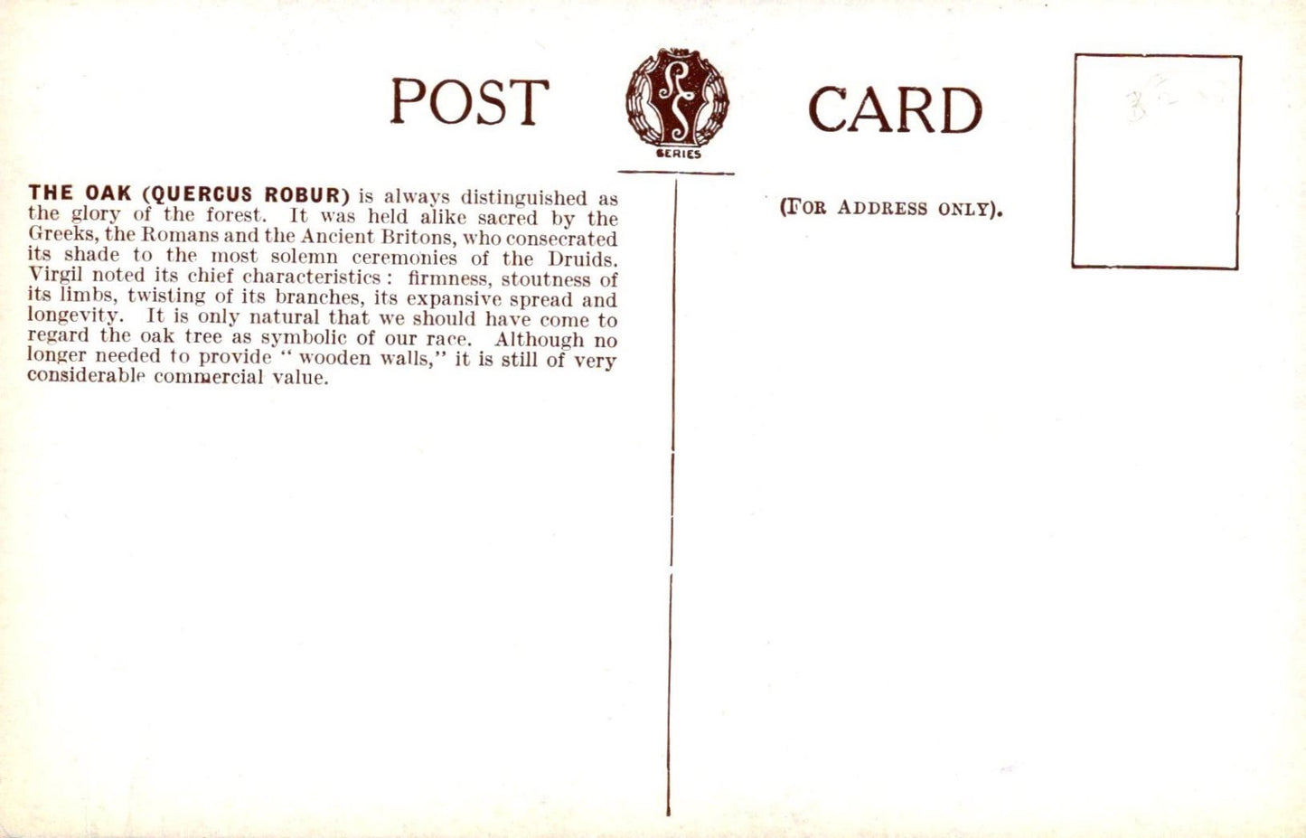 Back of a postcard with text about the oak tree and branding details.