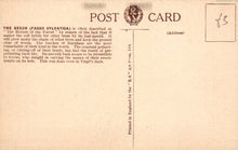 Load image into Gallery viewer, Vintage postcard with text and a logo on a beige background