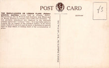 Load image into Gallery viewer, Back of a vintage postcard with text and a logo on a beige background