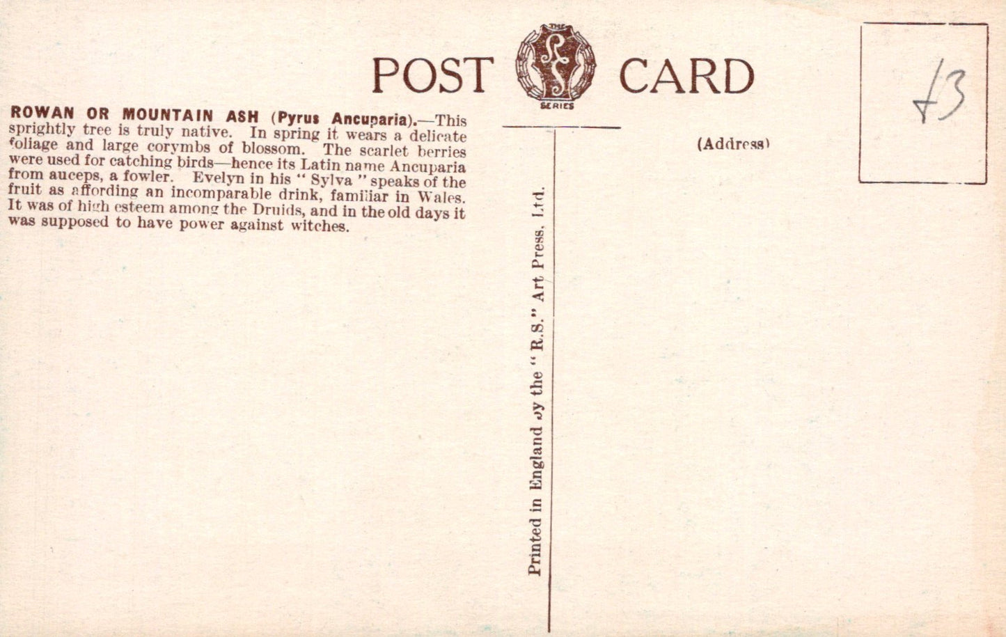 Back of a postcard with text and a logo, featuring a beige background.