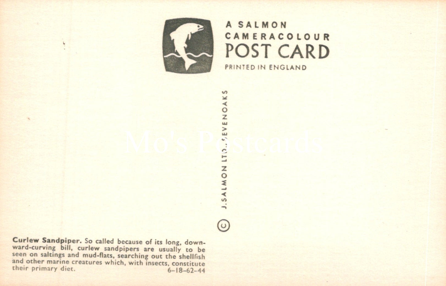 Salmon Cameracolour postcard with text and logo on a light background