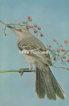Load image into Gallery viewer, Bird perched on a branch with berries, 'Mo's Postcards' text visible