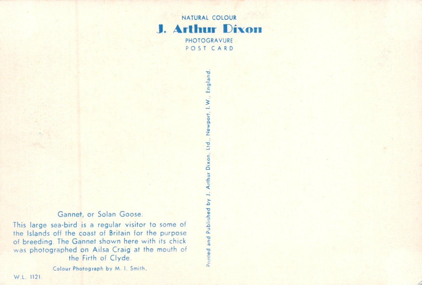 Vintage postcard with text and a color swatch on a white background