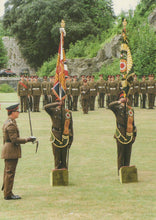 Load image into Gallery viewer, Formal military ceremony with soldiers saluting and holding flags outdoors.