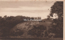 Load image into Gallery viewer, Surrey Postcard - St Catherine's Ruins, Guildford SW19284