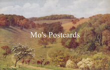 Load image into Gallery viewer, Sussex Postcard - Arundel Park, Artist A.R.Quinton SW18655