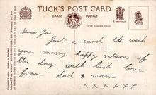 Load image into Gallery viewer, Greetings Postcard - Basket of Cats, A Happy Birthday SW18660