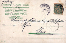 Load image into Gallery viewer, Children Postcard - Tree of Babies in Their Nests SW18671