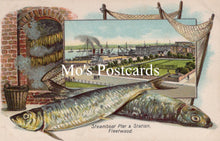 Load image into Gallery viewer, Lancashire Postcard - Fleetwood Steamboat Pier and Station SW18690