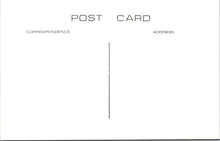 Load image into Gallery viewer, Hertfordshire Postcard - Bishops Stortford, North Street c1922 - SW17711