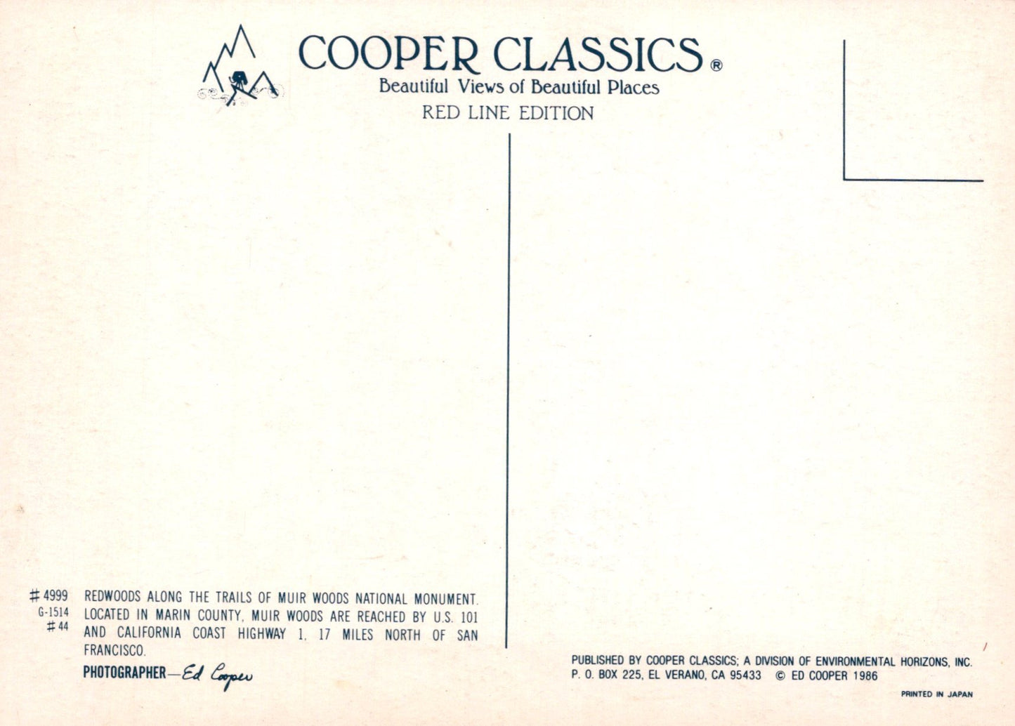America Postcard - Redwoods, Muir Woods, Marin County SW19201