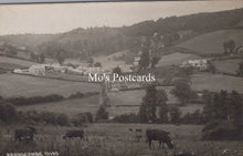 Load image into Gallery viewer, Devon Postcard - View of Branscombe Village SW18582