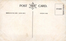 Load image into Gallery viewer, Animal Art Postcard - Dogs, Sir Edwin Landseer, Dignity and Impudence VT44