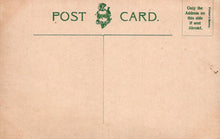 Load image into Gallery viewer, Vintage-style postcard with brown background and green text and design.