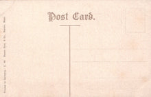 Load image into Gallery viewer, Vintage postcard with text and design elements on a beige background