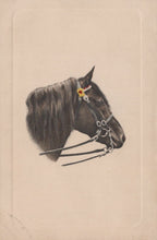 Load image into Gallery viewer, Illustration of a horse's head with a bridle on a beige background