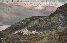 Load image into Gallery viewer, Shepherd with sheep on a hillside landscape, with text overlay