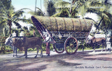 Load image into Gallery viewer, Sri Lanka Postcard - Double Bullock Cart, Colombo SW18173
