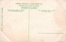 Load image into Gallery viewer, Sri Lanka Postcard - Double Bullock Cart, Colombo SW18173