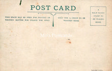 Load image into Gallery viewer, Nature Postcard - Beautiful Hand Painted Flowers SW18228