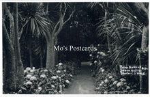 Load image into Gallery viewer, Cornwall Postcard - Isles of Scilly, Palm Avenue, Tresco SW18257