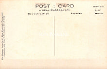 Load image into Gallery viewer, Cornwall Postcard - Isles of Scilly, Daffodils in an Orchard SW18258