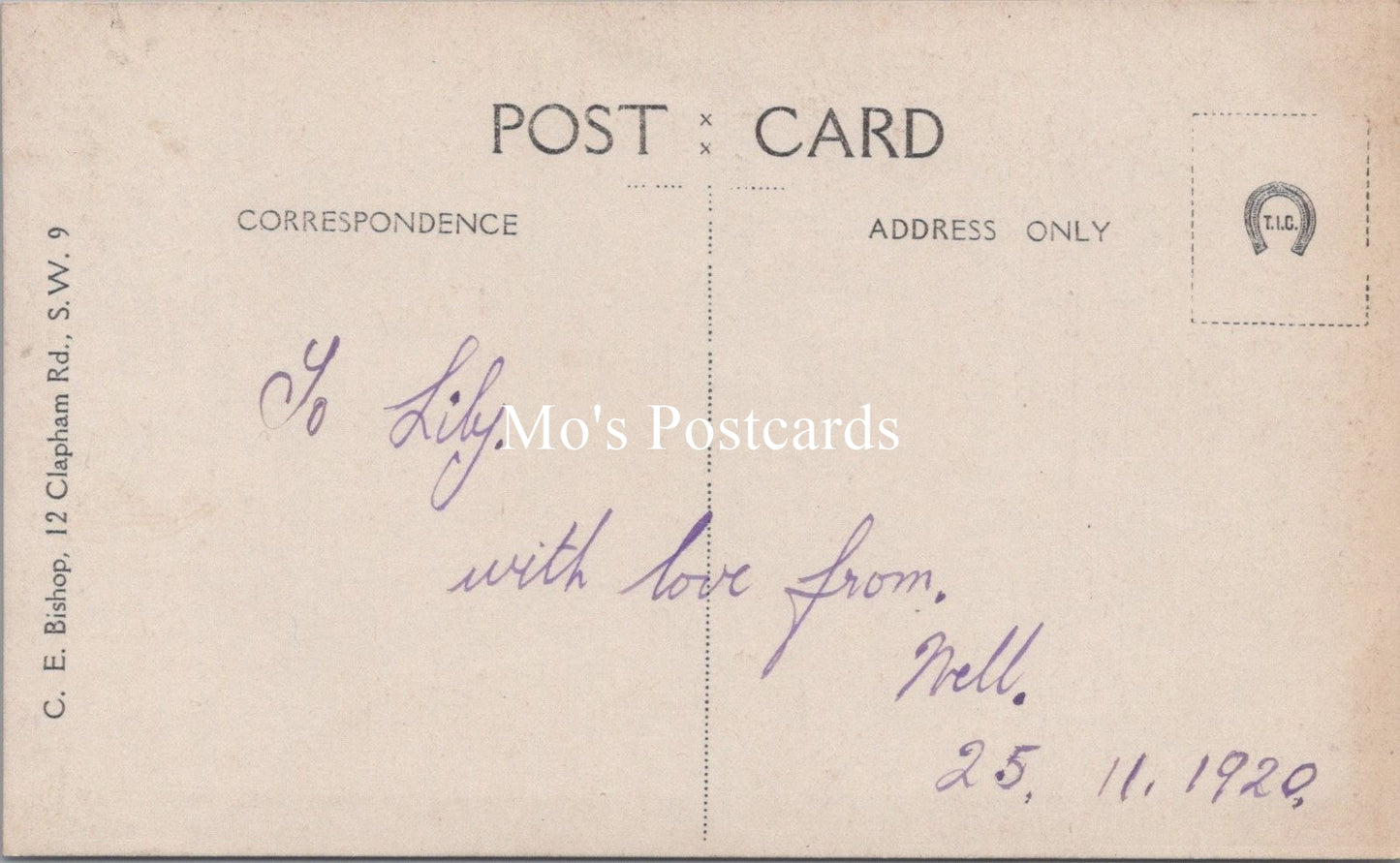Ancestors Postcard - 1920's Fashion, Portrait of a Lady Called Nell From 1920 - SW16852