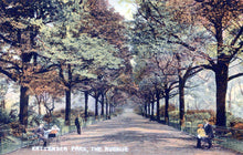 Load image into Gallery viewer, London Postcard - Battersea Park, The Avenue SW18418