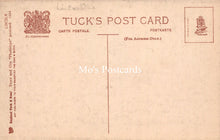 Load image into Gallery viewer, Lincolnshire Postcard - Lincoln, Pottergate SW18515