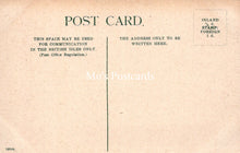 Load image into Gallery viewer, Scotland Postcard - The Lodge and Avenue, Falkland House SW18520