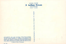 Load image into Gallery viewer, Back of a postcard with text about J. Arthur Dixon's photogravure work on columbine flowers.