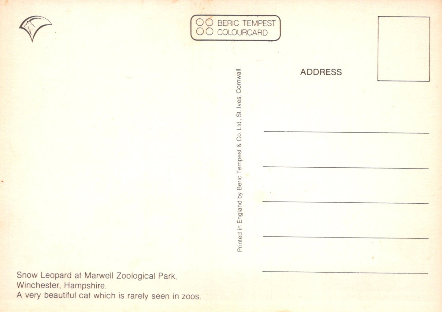 Back of a postcard with text about a snow leopard at Marwell Zoological Park, featuring Beric Tempest branding.
