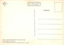 Load image into Gallery viewer, Back of a postcard with text about a snow leopard at Marwell Zoological Park, featuring Beric Tempest branding.