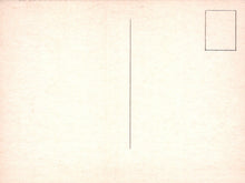 Load image into Gallery viewer, Gradient background transitioning from light pink to white with a vertical black line.