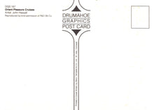 Load image into Gallery viewer, Back of a postcard with 'Drumahoe Graphics' branding and text.