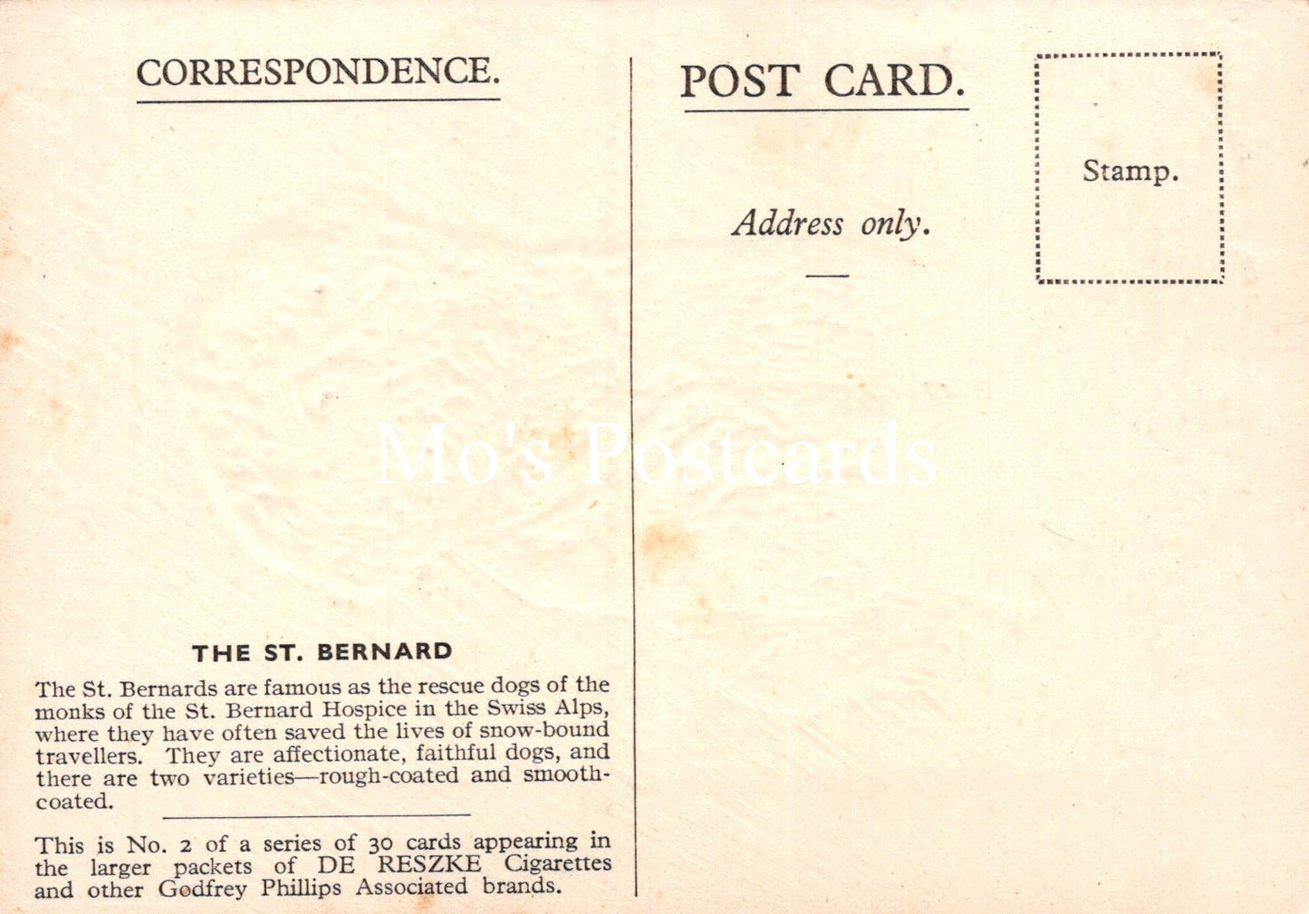 Animals Postcard - Dogs, The St Bernard SW18916