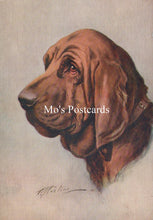 Load image into Gallery viewer, Animals Postcard - Dogs, The Bloodhound SW18917
