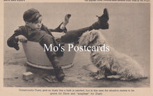 Load image into Gallery viewer, Animals Postcard - Dogs, Dave and Dusty SW18930