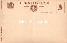 Load image into Gallery viewer, Animals Postcard - Dogs, Dave and Dusty SW18939